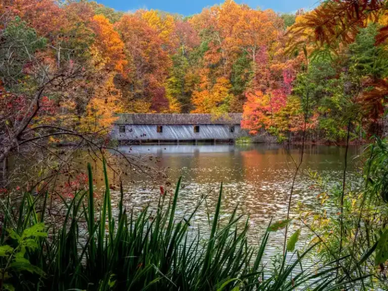 Covered wooden bridge over a lake surrounded by autumn trees with colorful foliage. water damage restoration in Madison AL